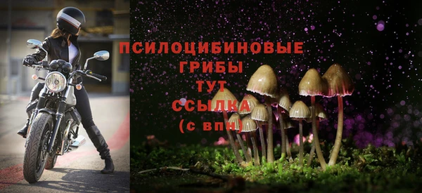 2c-b Барнаул