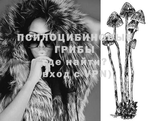 стаф Горно-Алтайск