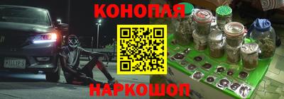 альфа пвп Новодвинск