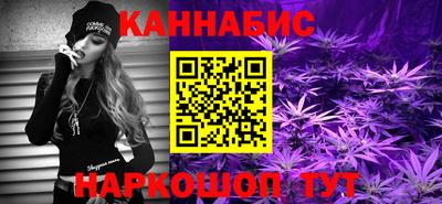 альфа пвп Новодвинск