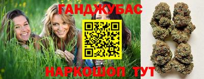 альфа пвп Новодвинск