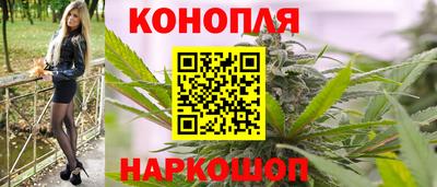 альфа пвп Новодвинск