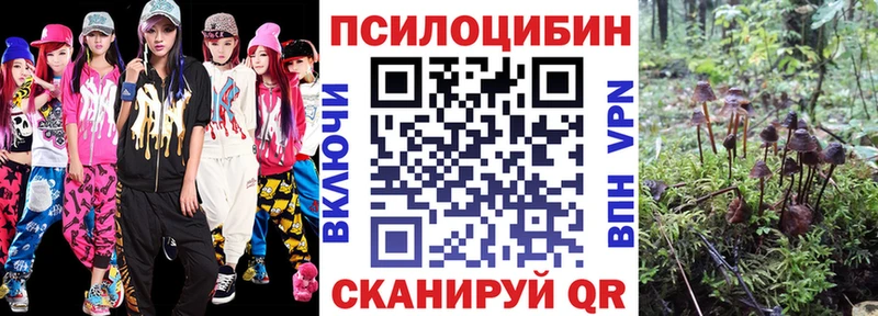 купить наркоту  Сальск  Псилоцибиновые грибы мицелий 