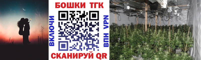 Канабис планчик  Сальск 